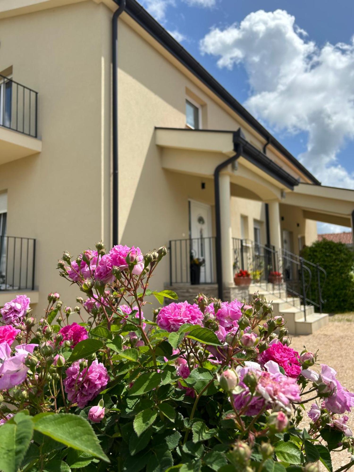 Apartman Marija Medjugorje Exterior photo